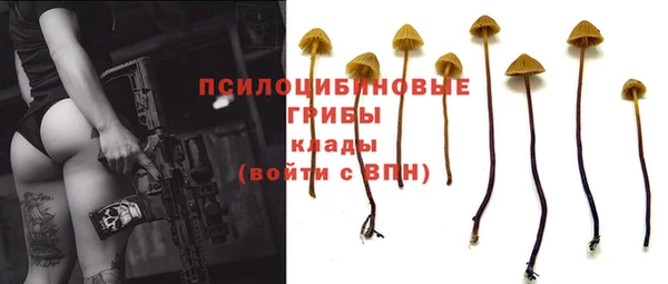стафф Балахна