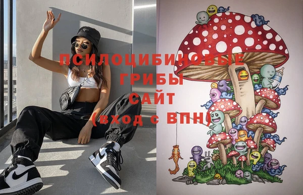 эйфоретик Богородск