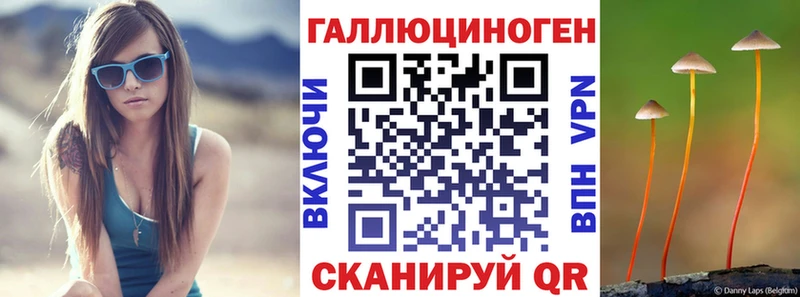 где можно купить   Белоярский  Псилоцибиновые грибы Cubensis 